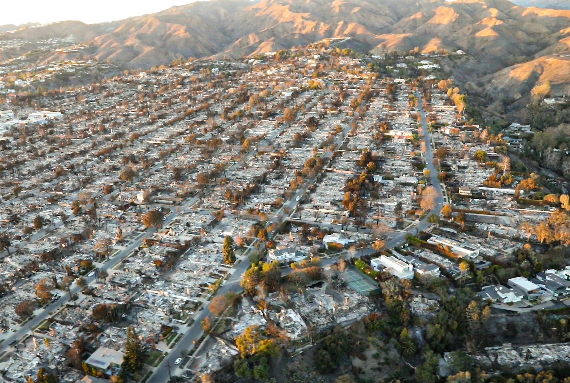 An aerial view of a Los Angeles neighborhood after the January 2025 fires: block after block of homes burned to their foundations, the street grid still intact, dry hills behind.