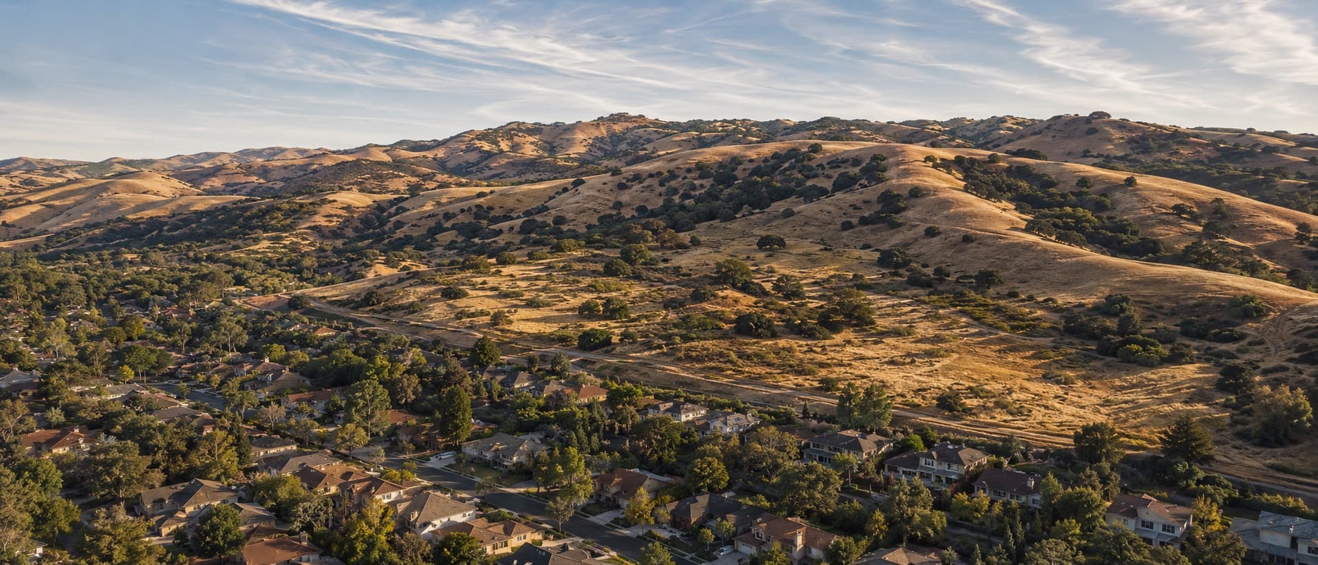 An illustration of a California neighborhood built at the base of dry golden foothills, homes meeting open wildland.